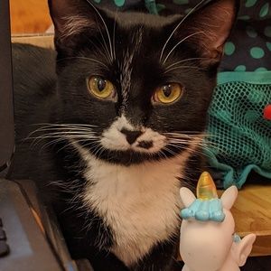 Meet your Posher, Heathere